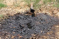 Case Study - Contamination