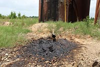 Case Study - Contamination